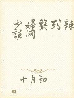 少妇系列辣文小说网