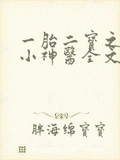 一胎二宝之弃妃小神医全文免费阅读