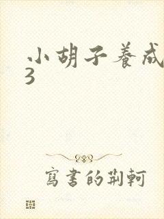 小胡子养成计划3