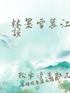林墨雪慕江行小说