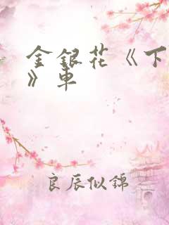 金银花《下厨房》车