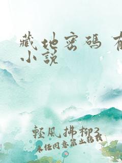 藏地密码 有声小说