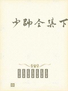 少帅全集下载