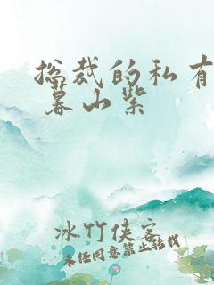 总裁的私有宝贝 暮山紫