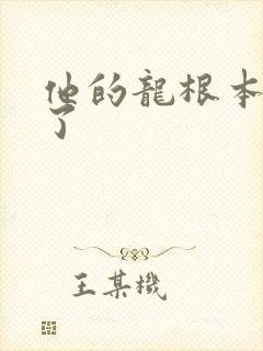 他的龙根本太大了