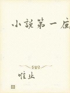 小说第一庶女