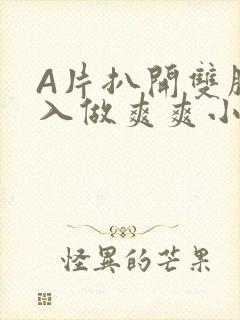 A片扒开双腿进入做爽爽小说