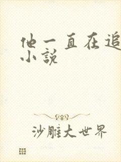 他一直在追初恋小说