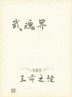 武魂界