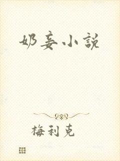 奶妾小说