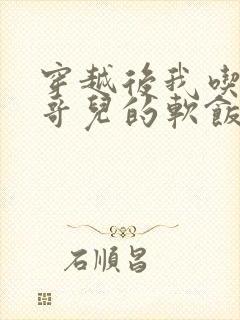 穿越后我吃到了哥儿的软饭炉山灰