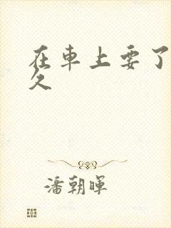 在车上要了我很久