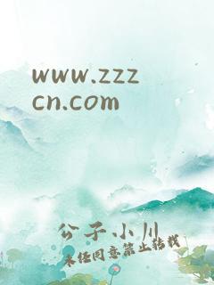 www.zzzcn.com