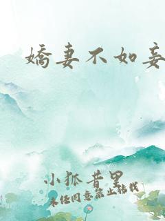 娇妻不如妾