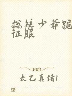 总统少爷跪地唱征服