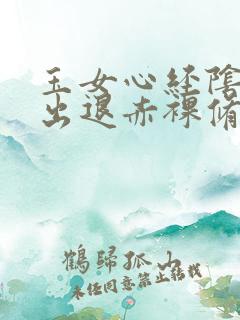 玉女心经阴进阳出退赤裸修行