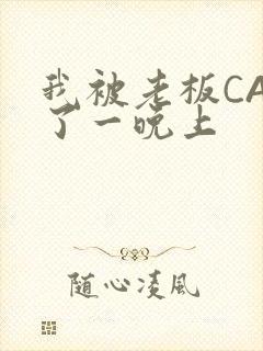 我被老板CAO了一晚上