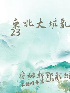 东北大坑乱1—23