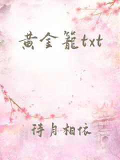 黄金笼txt