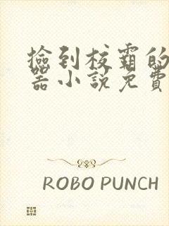 捡到校霸的遥控器小说免费阅读