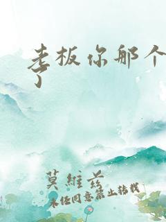 老板你那个太长了