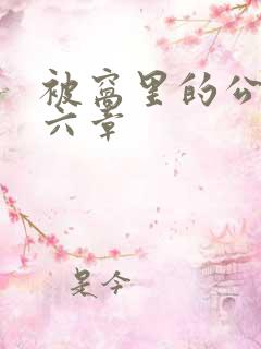 被窝里的公息十六章