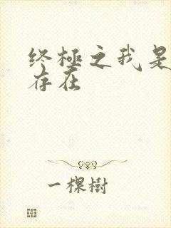 终极之我是神的存在