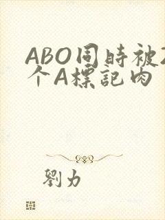 ABO同时被2个A标记肉