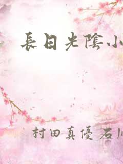 长日光阴小说