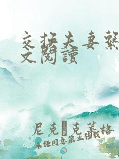 交换夫妻系列全文阅读