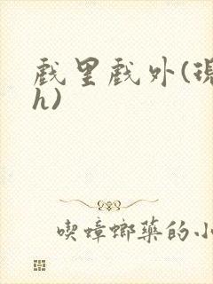 戏里戏外(现场h)