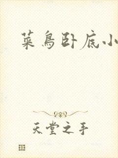 菜鸟卧底小正太