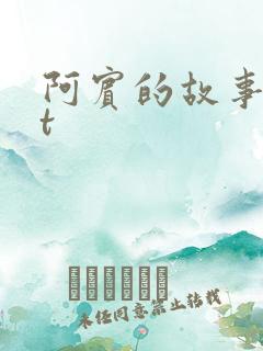 阿宾的故事txt