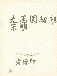 大团圆结亲情会宋明