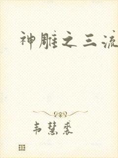 神雕之三流