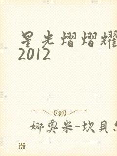 星光熠熠耀保良2012