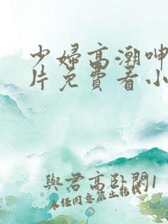 少妇高潮呻吟A片免费看小说