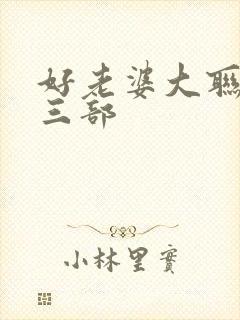 好老婆大联盟第三部