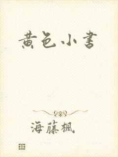 黄色小书
