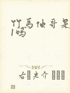 竹马他哥是1v1吗