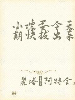 小坏蛋今天危险期快拔出来