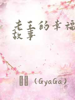 老王的幸福生活故事