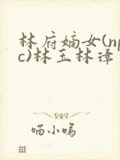 林府嫡女(npc)林玉林璋