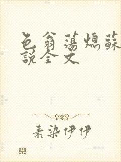 色翁荡熄苏钥小说全文