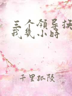 三个领导换着躁我几小时