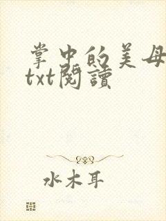 掌中的美母版主txt阅读