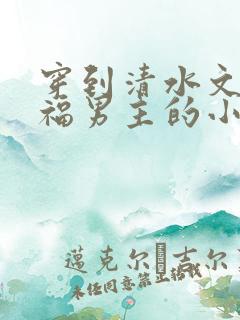 穿到清水文里造福男主的小说
