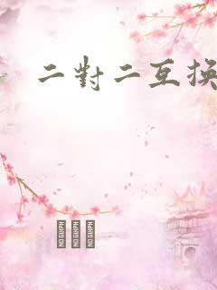 二对二互换共享