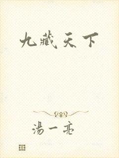 九藏天下