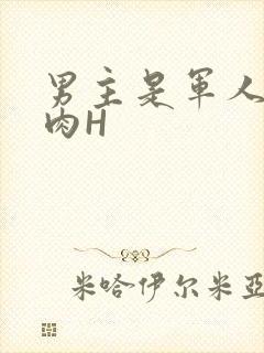 男主是军人的肉肉H